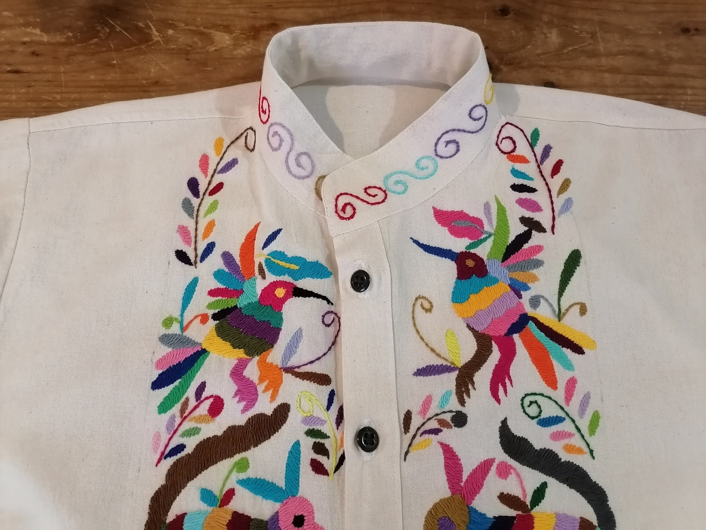 Guayabera para caballero Bordado Otomí multicolor